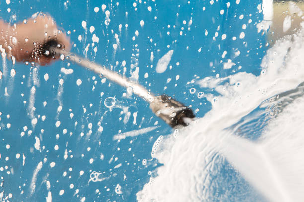 Best Animal Enclosure Cleaning  in Pinckneyvle, IL