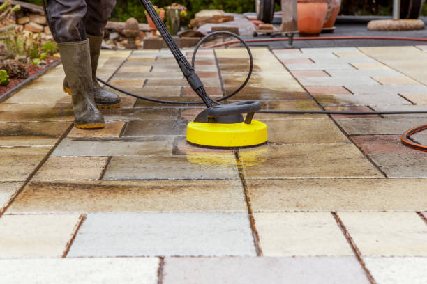 Best Solar Panel Cleaning  in Pinckneyvle, IL