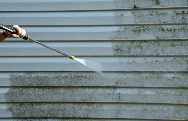 Best Dumpster Area Cleaning  in Pinckneyvle, IL