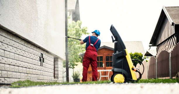 Best Soft Washing  in Pinckneyvle, IL