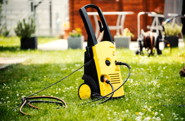 Best Boat and Dock Cleaning  in Pinckneyvle, IL